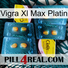 Vigra Xl Max Platinum cialis5